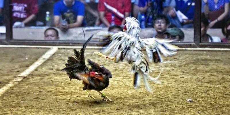 789 mathsica xổ số miền bắc hôm quả