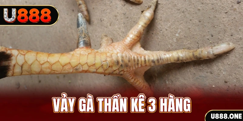 789 mathsica xổ số miền bắc xổ số miền bắc