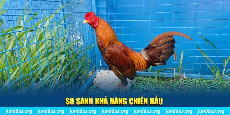 789 mathsica xổ số tiền giang