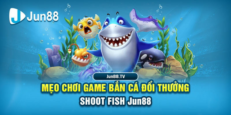 789 mathsica tai game danh bai bigkool ve may tinh