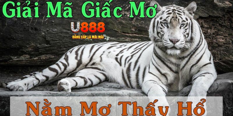 789 mathsica xổ số kiến thiết miền bắc