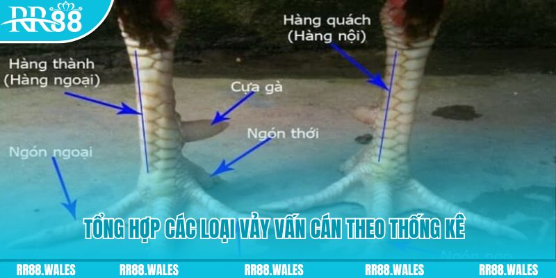789 mathsica nổ hũ chơi như thế nào