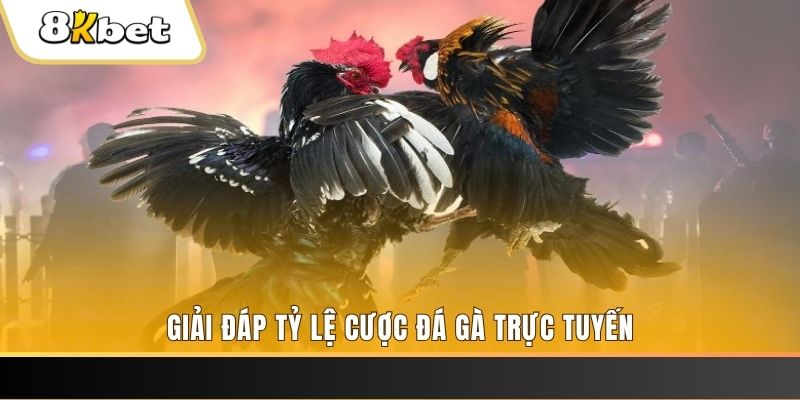 789 mathsica xổ số ba đài