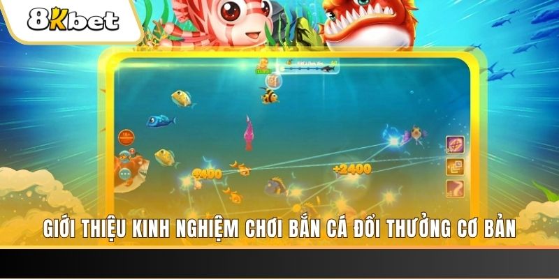 789 mathsica 8 bí ẩn chơi nổ hũ ít ai biết