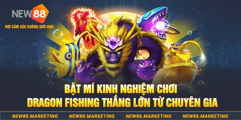 789 mathsica who wants to be a millionaire slot